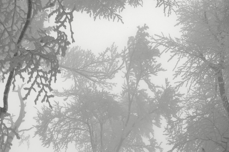 Hérincs Dávid fotója, János-hegy