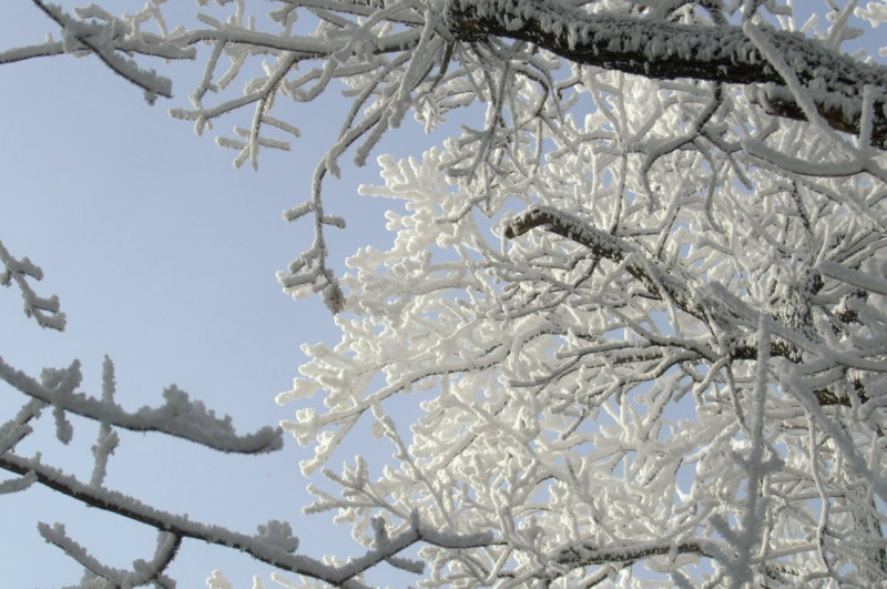 Hérincs Dávid fotója, János-hegy