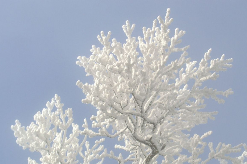 Hérincs Dávid fotója, János-hegy