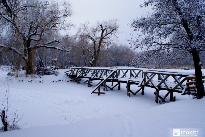 2012-es nagy havazás