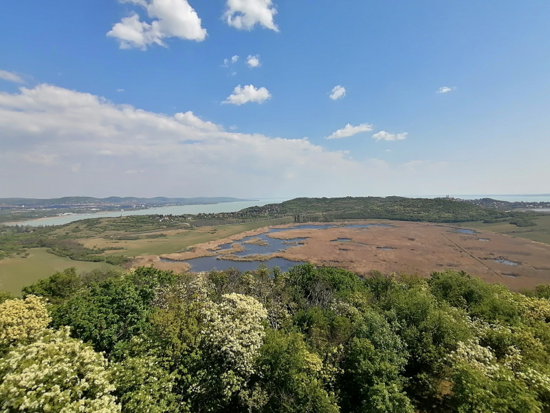 Balaton 04.25. 