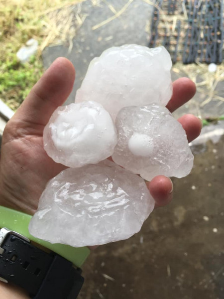 Jégverés - Ausztrália