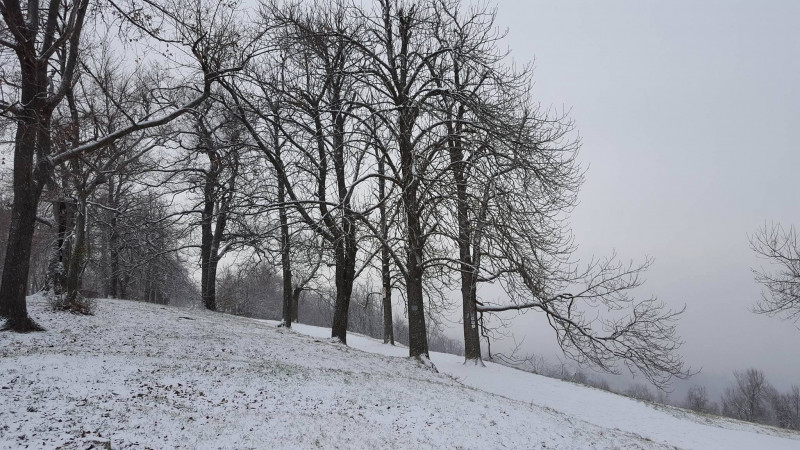 Szekeres Levente fotója