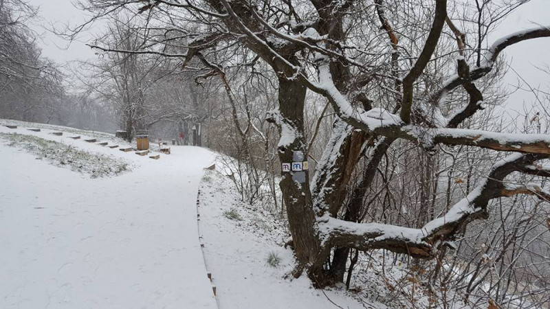 Szekeres Levente fotója