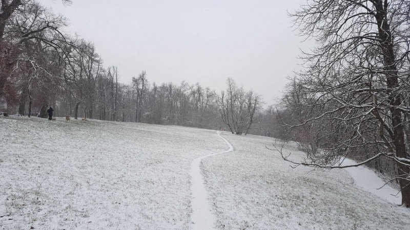 Szekeres Levente fotója