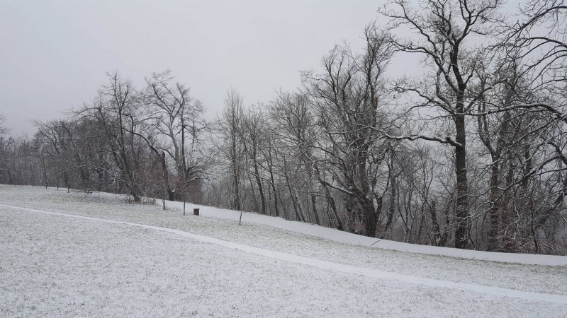 Szekeres Levente fotója