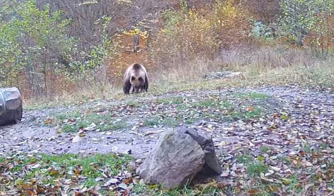 Filmdzsungel Stúdió kamerája