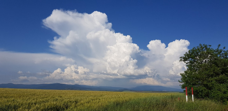 Fotó: Molnár J. Csaba