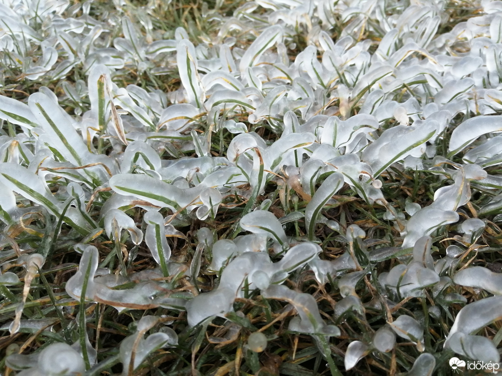 Jéggel borítja be a Balaton a déli partot