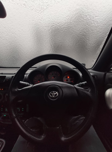 Fotó: Steiner Tamás