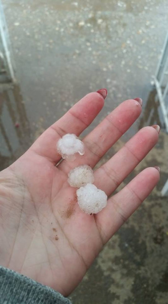 Udvarhelyi Anita fotója