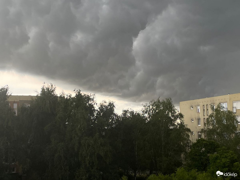 Gyula
