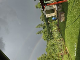 szaboa49 fotója