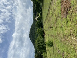 Budapest XXI.ker - Csepel