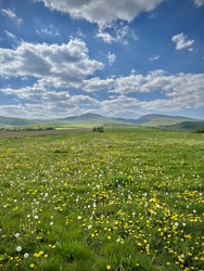 Végtelen 