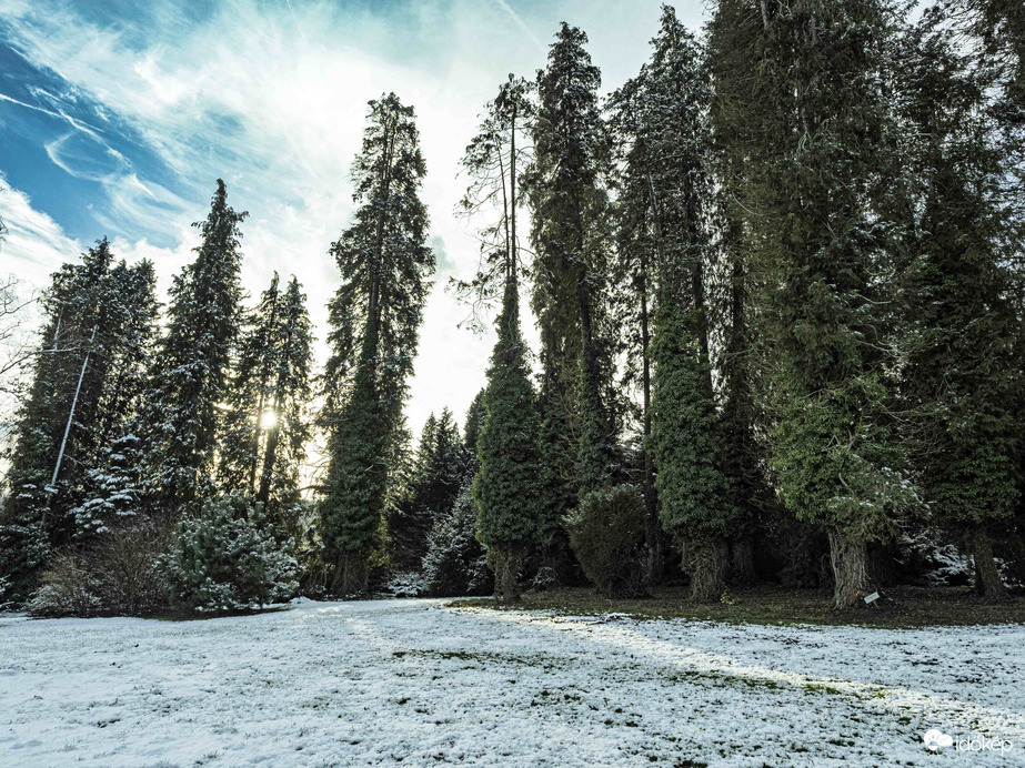 Ágneslaki arborétum