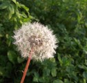 A gyerekkorra :)