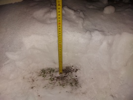 Januári Havazás Cegléden!