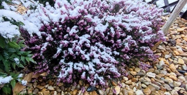 szabolivia7063 fotója