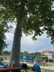 Debrecen