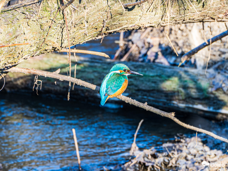 Egy jó falatra várva