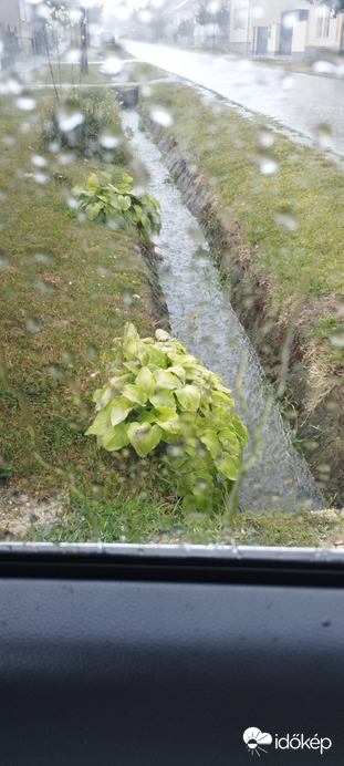 Nyirád