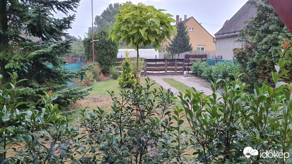 Székesfehérvár