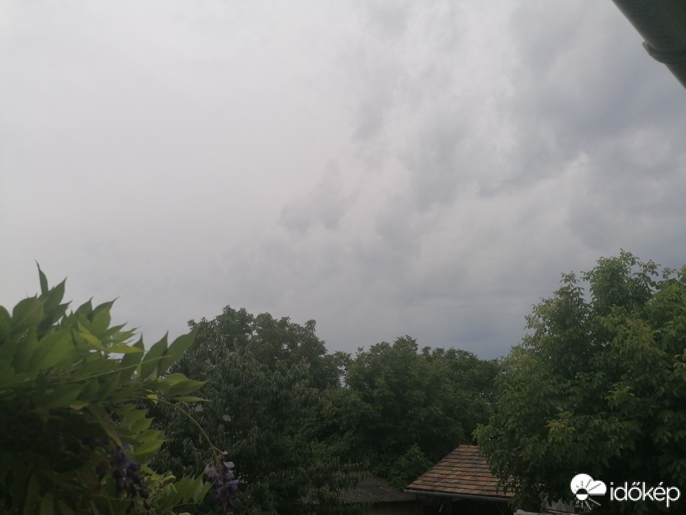 Szár