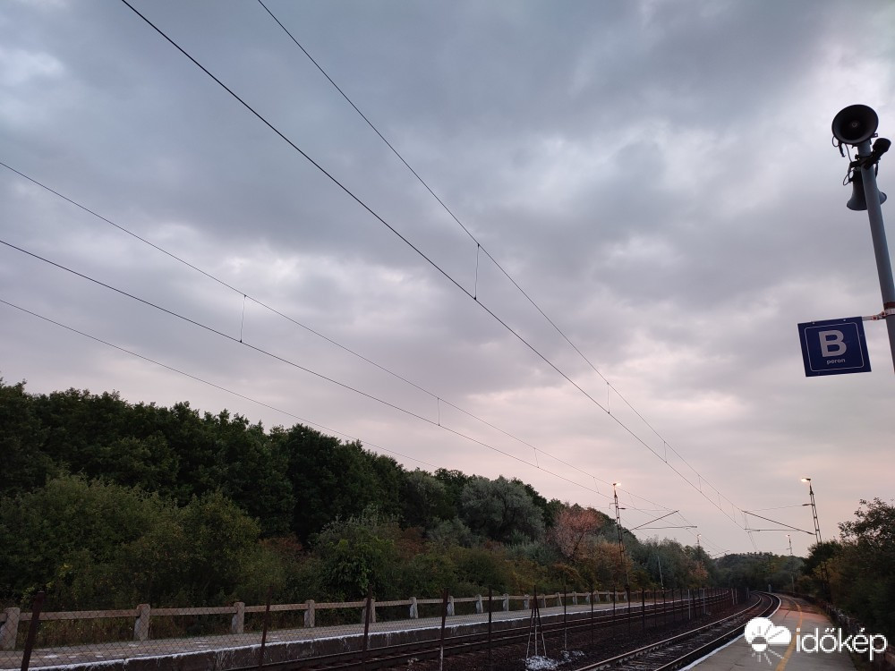 Szár