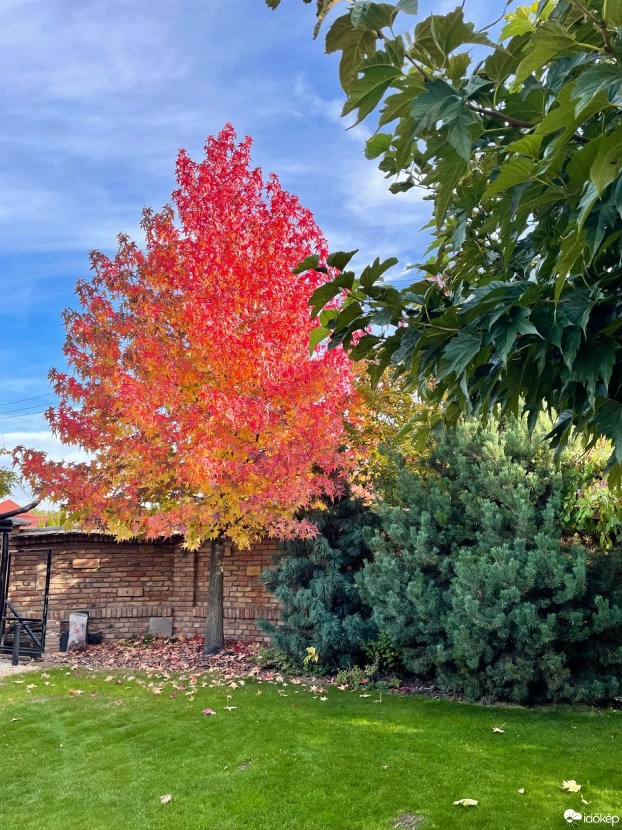 Kiskunhalas-Felsőszállás