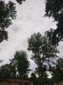 Fonyód
