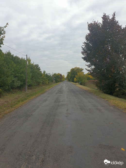 Sarkad