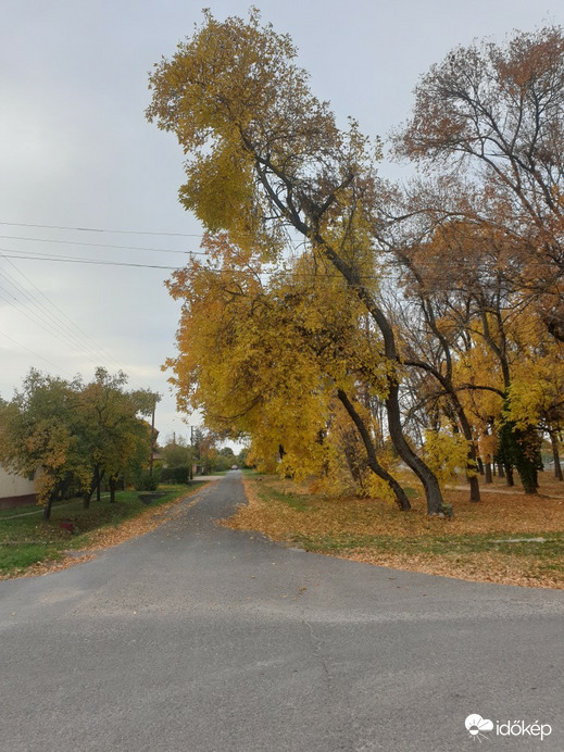 Sarkad