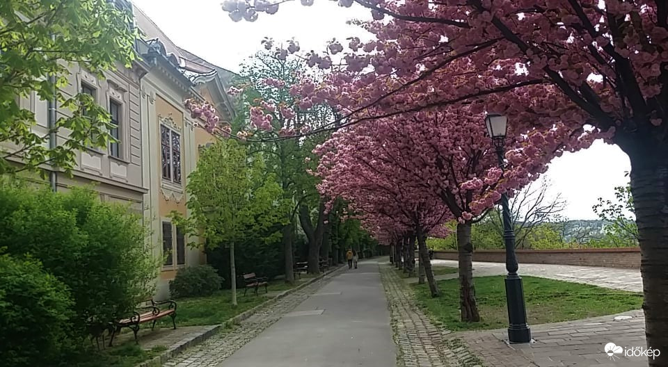 Budai Várnegyed