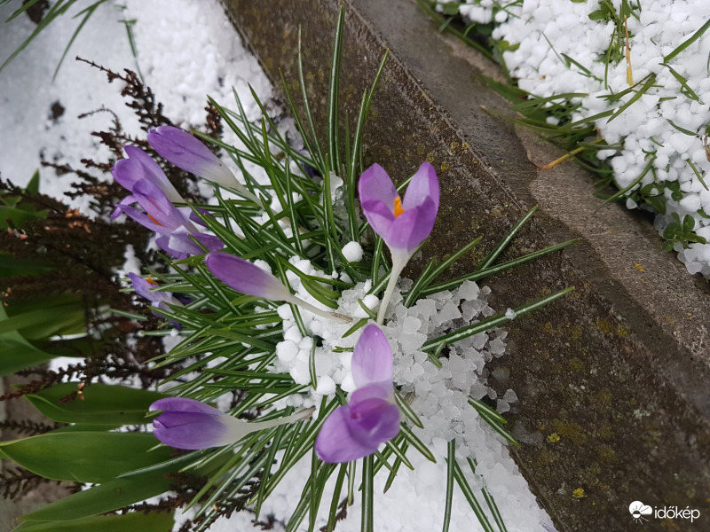 Tavaszi Tél
