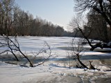 A befagyott Tisza holtág