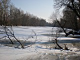 A befagyott Tisza holtág