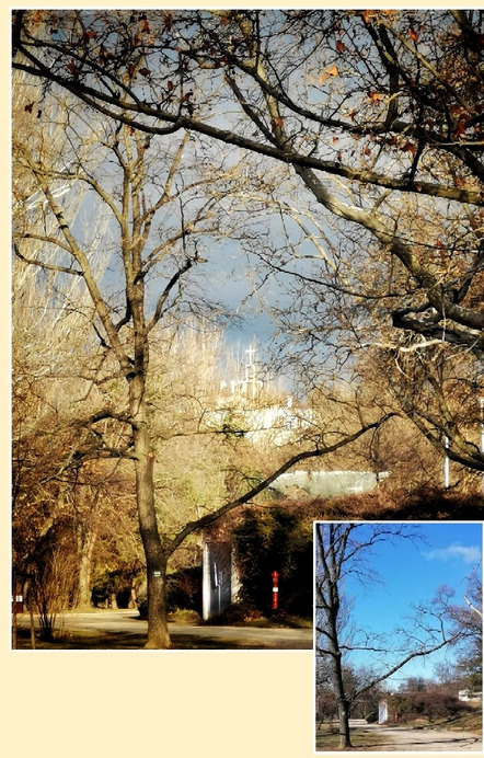 Budapest II.ker - Rózsadomb