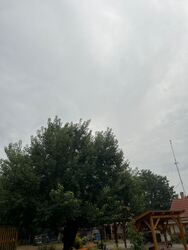 Táborfalva