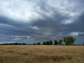 Vihar előtt