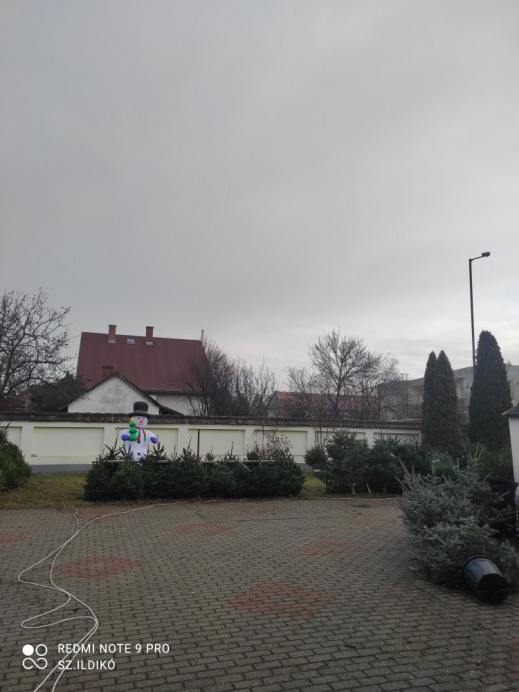 Gyomaendrőd