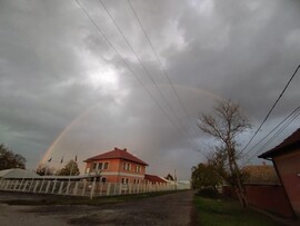 Székkutas