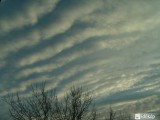 Altocumulus undulatus Érd 2009.12.16.