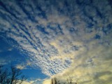 Altocumulus naplemente előtt 2013.11.28.