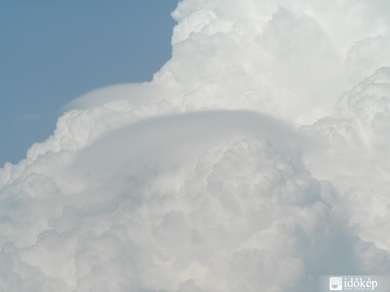 Pileus (felhősapka) 2006.06.28. Érd 