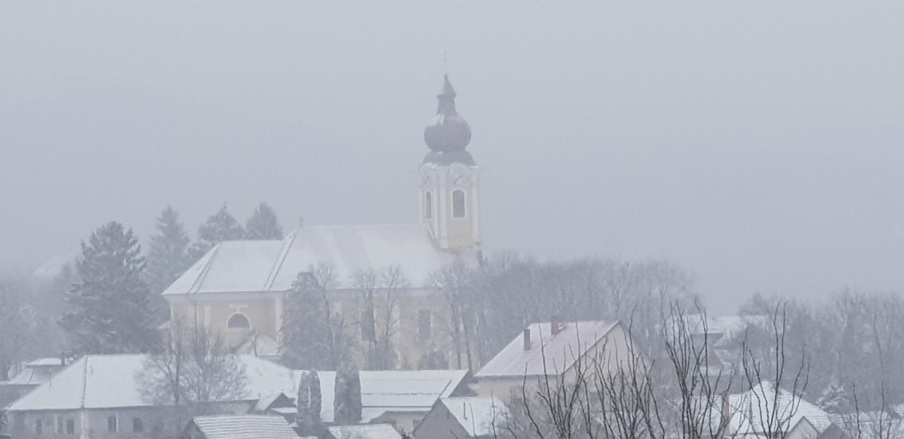 Buják