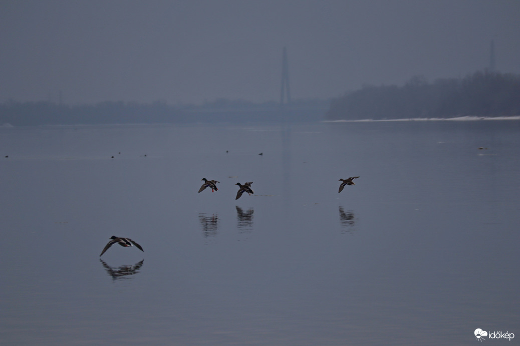 Budapest Megyeri híd 