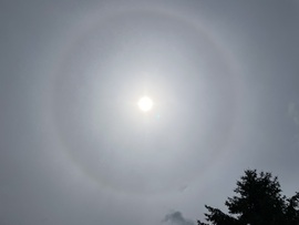 Naphaló Nyíregyháza 