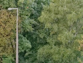 Zalaegerszeg