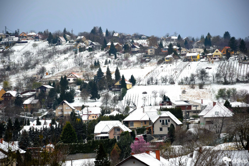 Zalaegerszeg